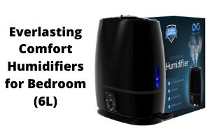 Everlasting Humidifiers